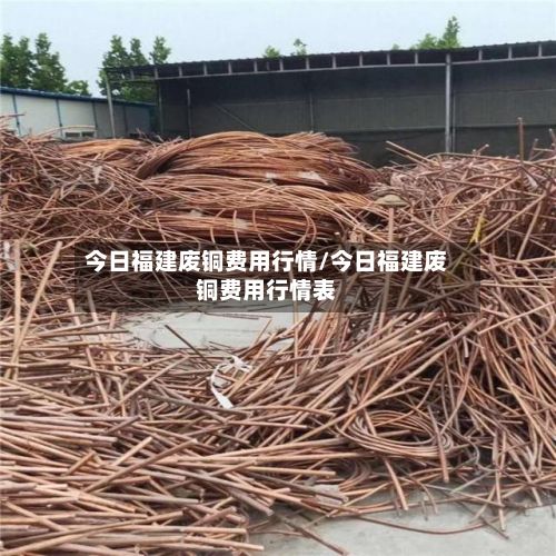 今日福建废铜费用行情/今日福建废铜费用行情表-第3张图片
