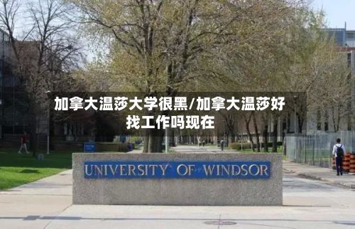 加拿大温莎大学很黑/加拿大温莎好找工作吗现在-第2张图片