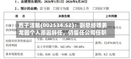 西子洁能(002534.SZ):副总经理姜龙因个人原因辞任,仍留任公司任职
