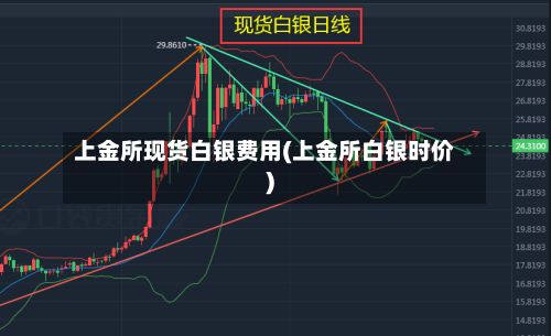 上金所现货白银费用(上金所白银时价)-第3张图片