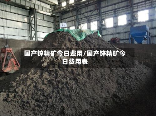 国产锌精矿今日费用/国产锌精矿今日费用表
