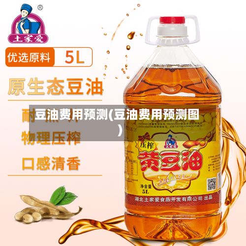 豆油费用预测(豆油费用预测图)