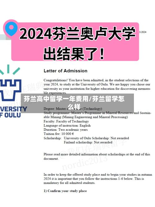 芬兰高中留学一年费用/芬兰留学怎么样-第2张图片