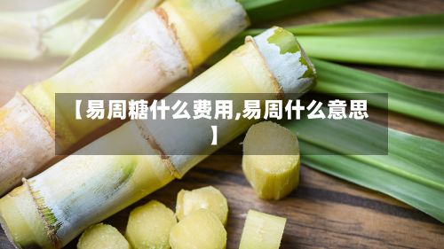 【易周糖什么费用,易周什么意思】