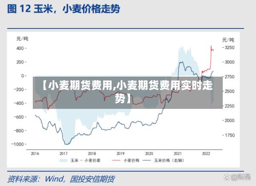 【小麦期货费用,小麦期货费用实时走势】