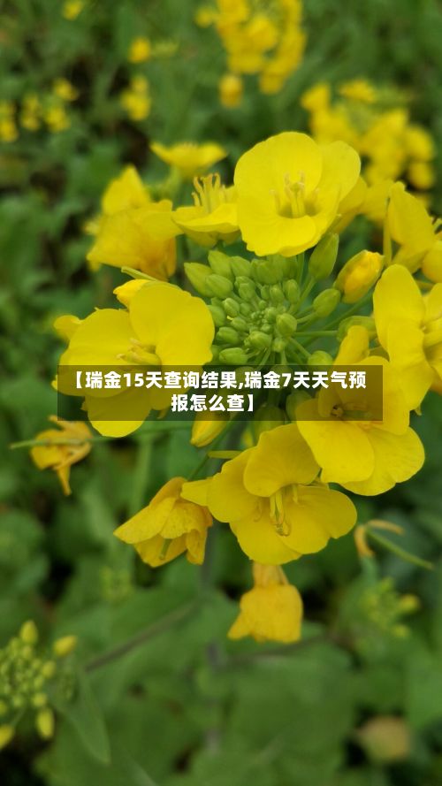【瑞金15天查询结果,瑞金7天天气预报怎么查】