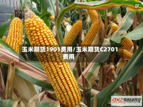 玉米期货1901费用/玉米期货C2701费用-第2张图片