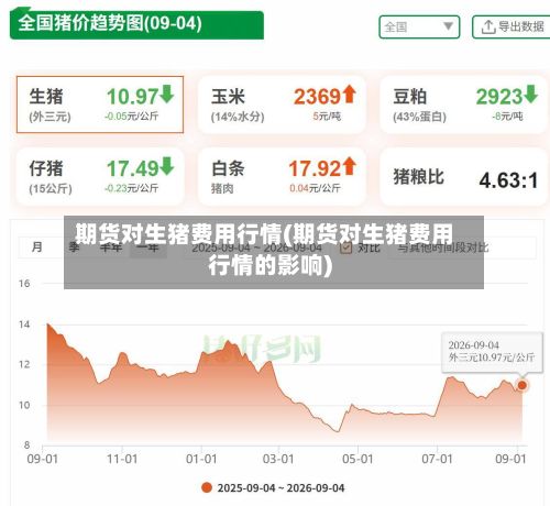 期货对生猪费用行情(期货对生猪费用行情的影响)-第2张图片
