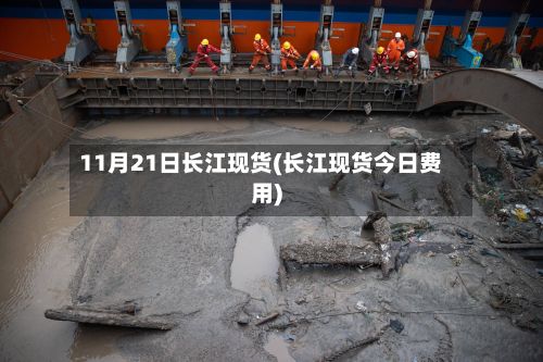 11月21日长江现货(长江现货今日费用)