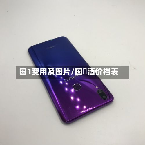 国1费用及图片/国綠酒价档表