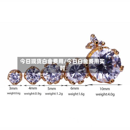 今日现货白金费用/今日白金费用实时-第2张图片
