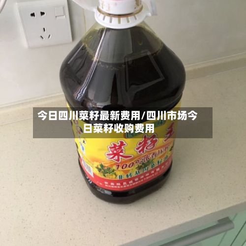 今日四川菜籽最新费用/四川市场今日菜籽收购费用-第2张图片