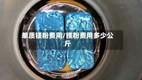 单质镁粉费用/镁粉费用多少公斤-第2张图片