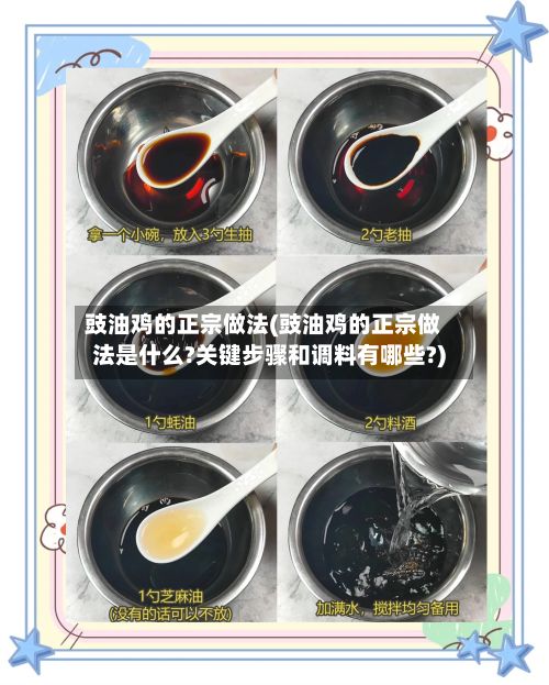 豉油鸡的正宗做法(豉油鸡的正宗做法是什么?关键步骤和调料有哪些?)-第3张图片