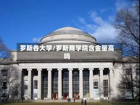 罗斯各大学/罗斯商学院含金量高吗-第2张图片