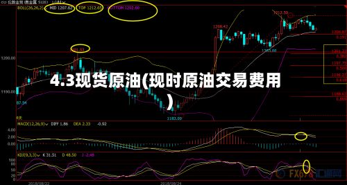 4.3现货原油(现时原油交易费用)