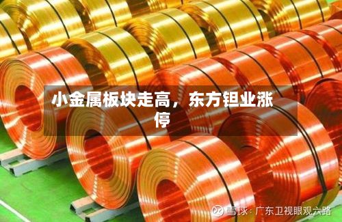 小金属板块走高，东方钽业涨停-第2张图片