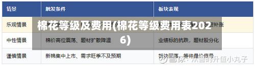 棉花等级及费用(棉花等级费用表2026)-第2张图片