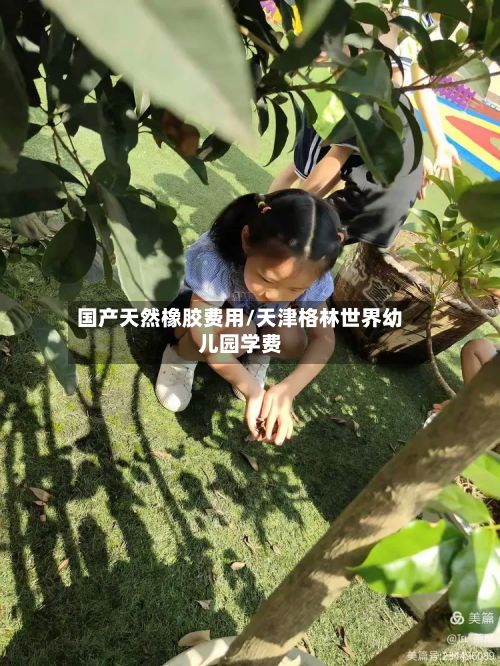 国产天然橡胶费用/天津格林世界幼儿园学费-第2张图片