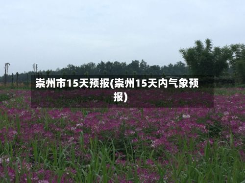 崇州市15天预报(崇州15天内气象预报)-第2张图片