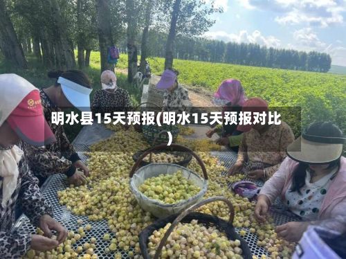 明水县15天预报(明水15天预报对比)