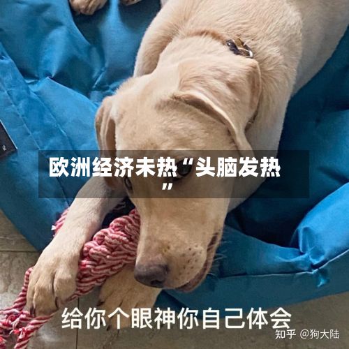 欧洲经济未热“头脑发热	”-第2张图片