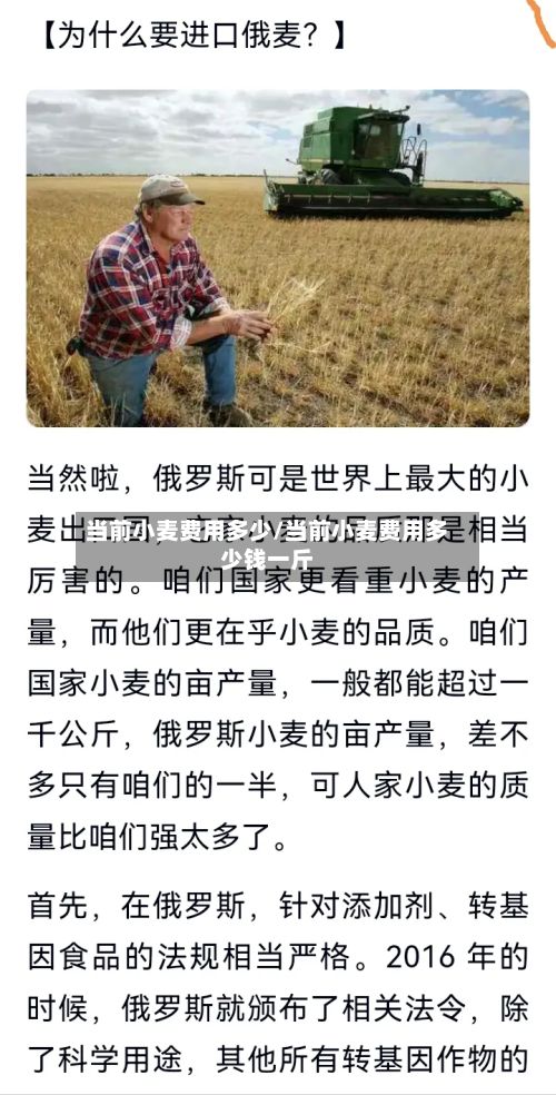 当前小麦费用多少/当前小麦费用多少钱一斤