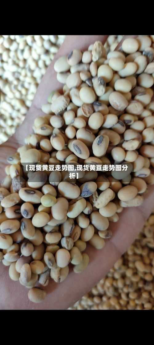 【现货黄豆走势图,现货黄豆走势图分析】