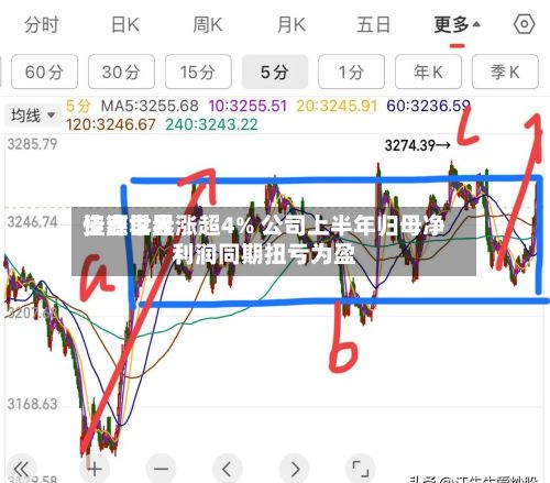 佳鑫世界
资源早盘涨超4% 公司上半年归母净利润同期扭亏为盈-第1张图片