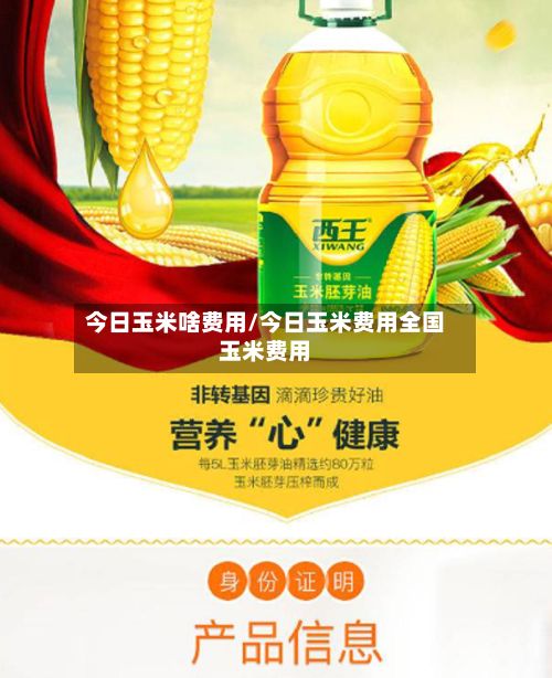 今日玉米啥费用/今日玉米费用全国玉米费用