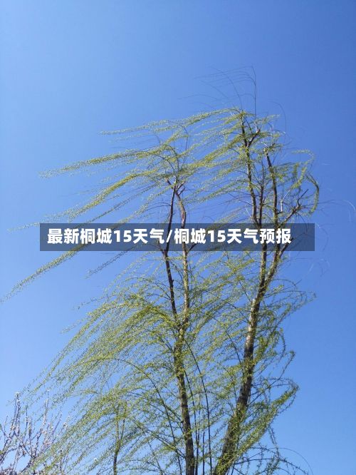 最新桐城15天气/桐城15天气预报-第3张图片