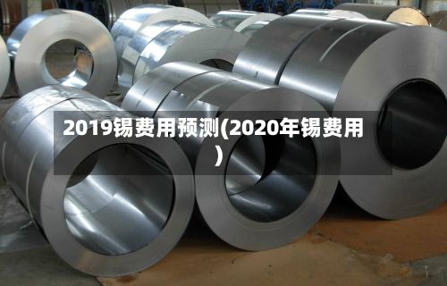 2019锡费用预测(2020年锡费用)