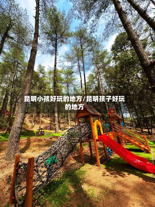 昆明小孩好玩的地方/昆明孩子好玩的地方-第3张图片