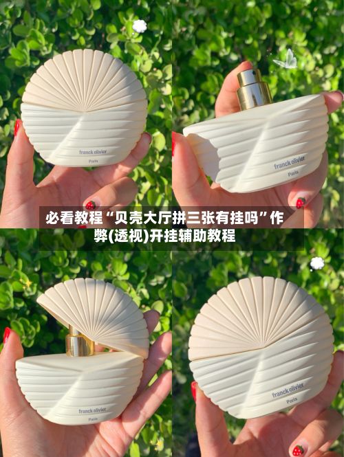 必看教程“贝壳大厅拼三张有挂吗	”作弊(透视)开挂辅助教程-第2张图片