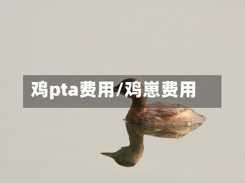 鸡pta费用/鸡崽费用-第3张图片