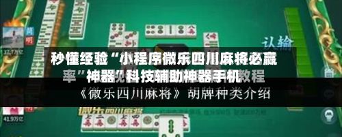 秒懂经验“小程序微乐四川麻将必赢神器”科技辅助神器手机-第3张图片