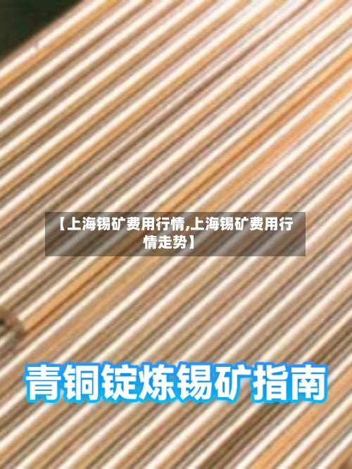 【上海锡矿费用行情,上海锡矿费用行情走势】-第3张图片