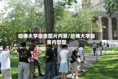 哈佛大学宿舍图片内景/哈佛大学宿舍内部图-第3张图片