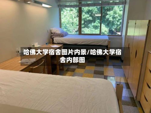 哈佛大学宿舍图片内景/哈佛大学宿舍内部图-第2张图片