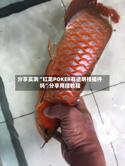 分享实测“红龙POKER有透明挂插件吗”分享用挂教程-第3张图片