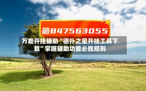 万能开挂辅助“德扑之星开挂工具下载”掌握辅助功能必胜规则