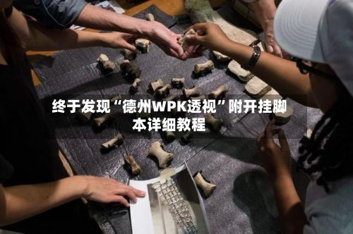 终于发现“德州WPK透视”附开挂脚本详细教程-第2张图片