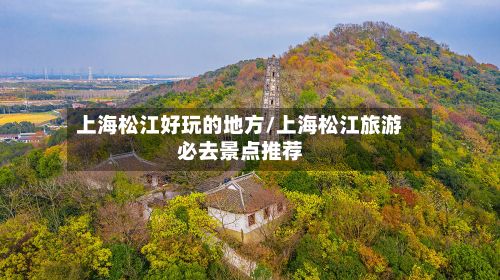 上海松江好玩的地方/上海松江旅游必去景点推荐