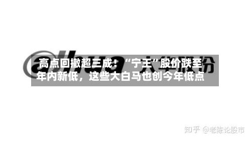 高点回撤超三成！“宁王”股价跌至年内新低，这些大白马也创今年低点-第3张图片