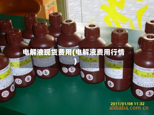 电解液现货费用(电解液费用行情)