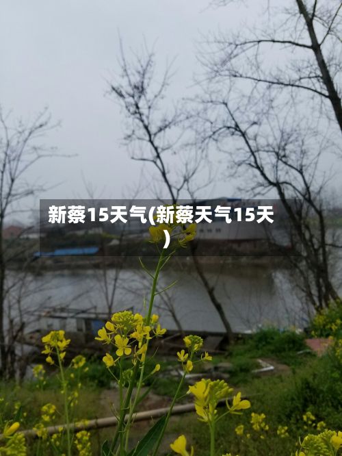 新蔡15天气(新蔡天气15天)-第2张图片