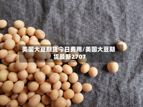 美国大豆期货今日费用/美国大豆期货最新2707