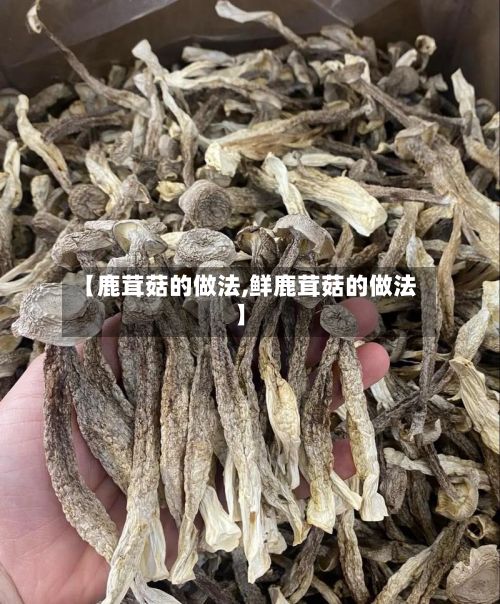 【鹿茸菇的做法,鲜鹿茸菇的做法】-第2张图片