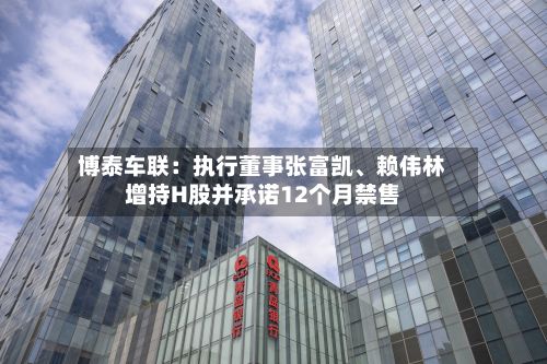 博泰车联：执行董事张富凯	、赖伟林增持H股并承诺12个月禁售-第2张图片