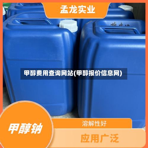 甲醇费用查询网站(甲醇报价信息网)-第2张图片